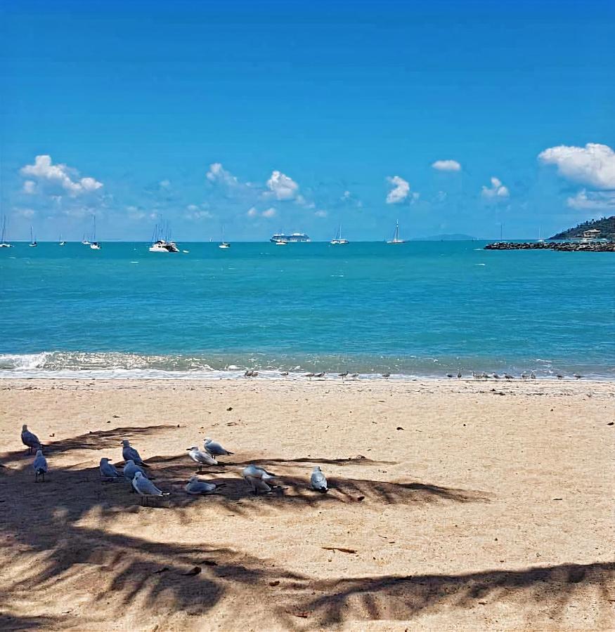 La Villa At Beach Court Airlie Beach Buitenkant foto
